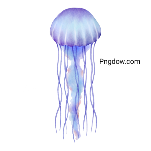 Watercolor Floating Purple Jellyfish Png for free