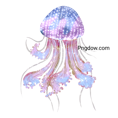 Jellyfish Watercolor,Marine Life