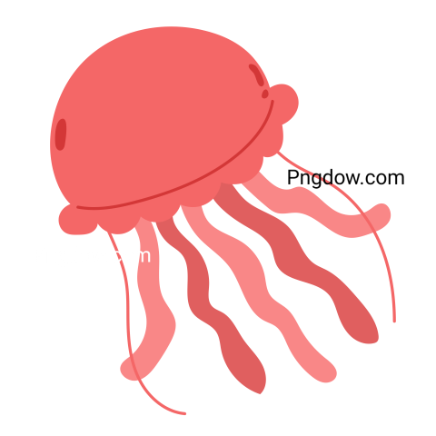 Jellyfish Png transparent Background for free (13)