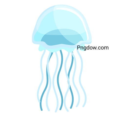 Jellyfish Png transparent Background for free (10)