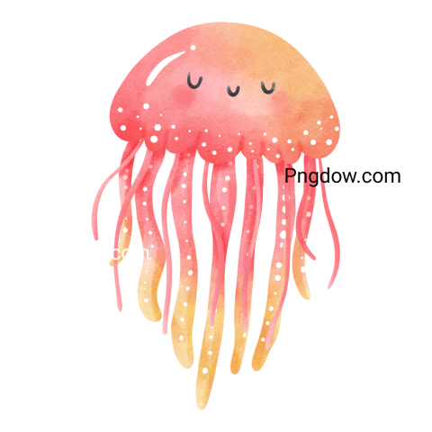 Jellyfish Png transparent Background for free (16)