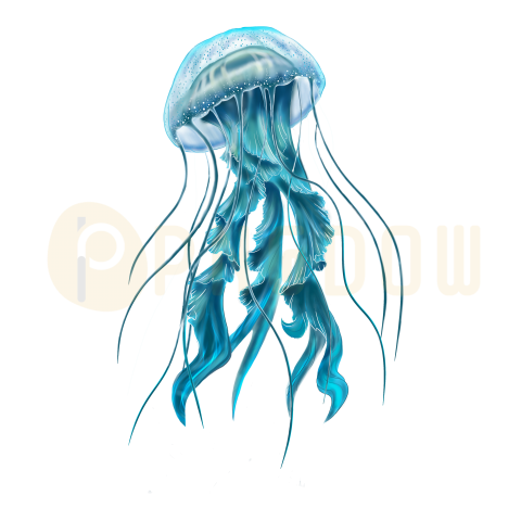 Jellyfish Png transparent Background for free (17)