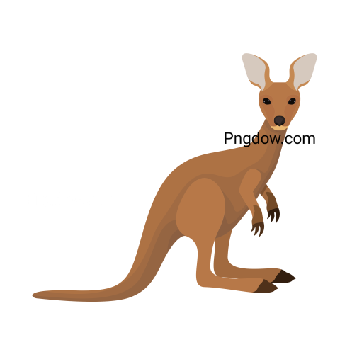 Kangaroo Png transparent Background image for Free (19)