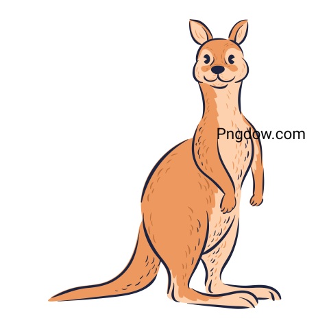 Kangaroo Png transparent Background image for Free (16)