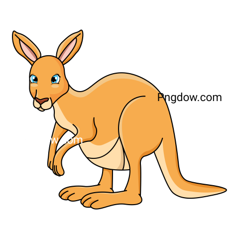 Kangaroo Png transparent Background image for Free (23)