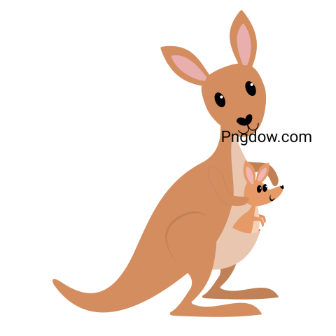 Kangaroo Png transparent Background image for Free (2)
