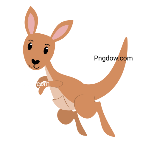 Kangaroo Png transparent Background image for Free (3)