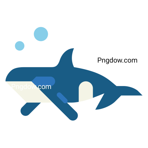 Killer whale, transparent Background image for free, (5)