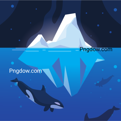 Killer Whale Whit Iceberg Floating in in the Sea