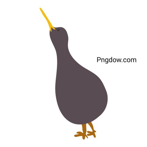Kiwi bird Png transparent Background image free, (1)
