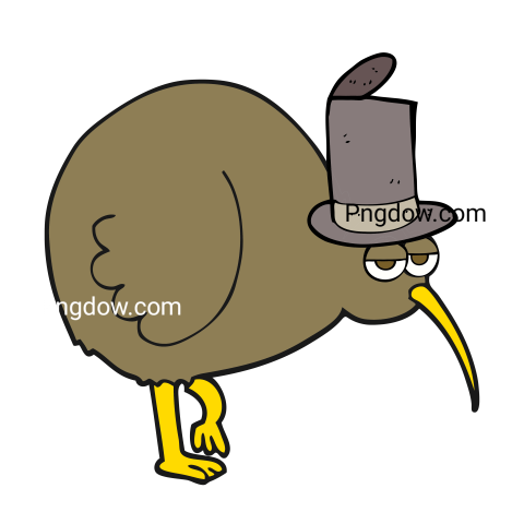 Cartoon Kiwi Bird transparent Background for free