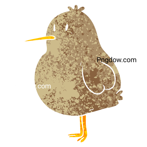 Cartoon Kiwi Bird, transparent Background for free