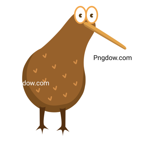 Kiwi bird Png transparent Background image free, (7)