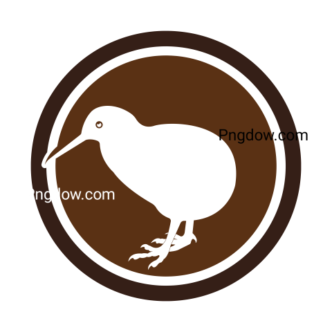 Kiwi bird Png transparent Background image free, (17)