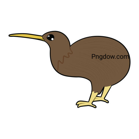 Kiwi bird Png transparent Background image free, (9)