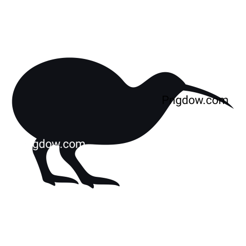 Kiwi bird Png transparent Background image free, (24)