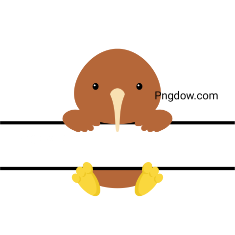 Cute Kiwi Bird Split Monogram, PNG image