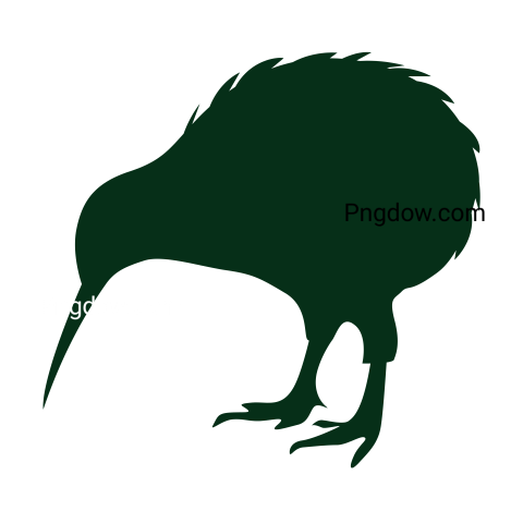 Kiwi bird Png transparent Background image free, (36)
