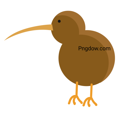 Kiwi bird Png transparent Background image free, (37)