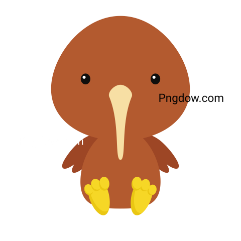 Kiwi bird Png transparent Background image free, (29)
