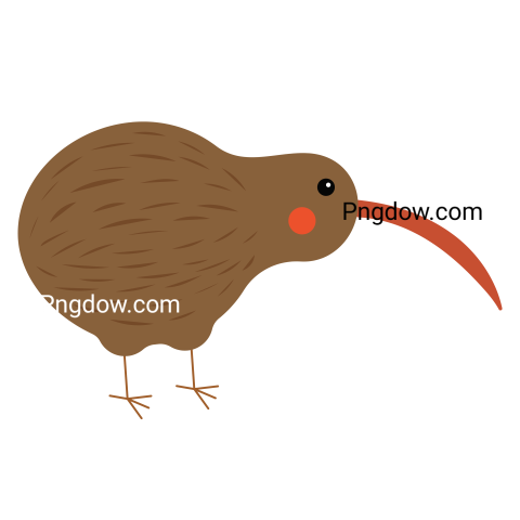 Kiwi bird Png transparent Background image free, (39)