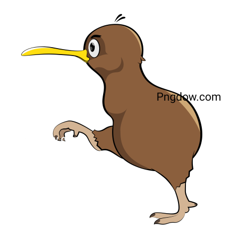 Kiwi bird Png transparent Background image free, (38)
