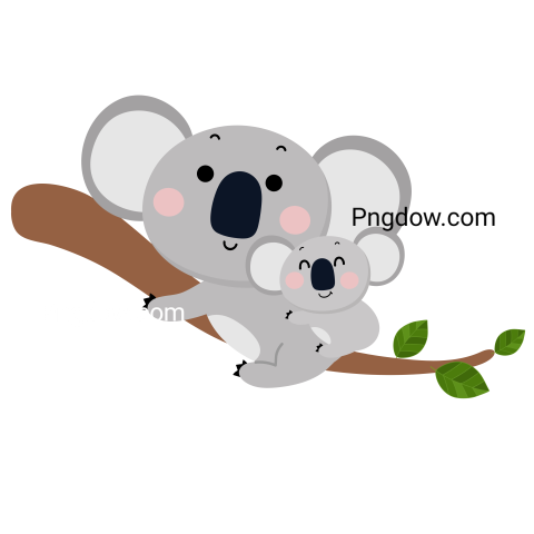 Download Free Transparent Koala PNG Image with a Background Removal, (1)