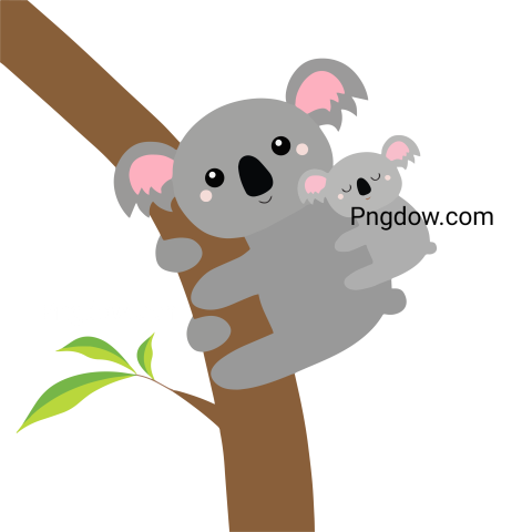Get a Free Transparent Background Koala PNG Image for Your Designs, (2)