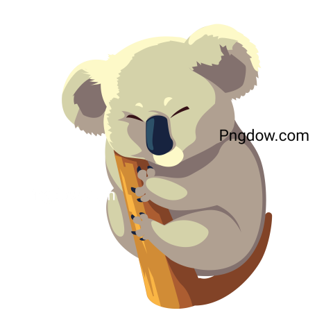 Get Free Transparent Background Koala PNG Images for Your Designs, (5)
