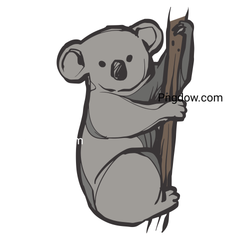 Get a Free Transparent Background Koala PNG Image for Your Designs, (5)