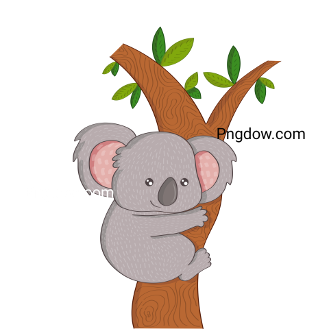 Get a Free Transparent Background Koala PNG Image for Your Designs, (4)
