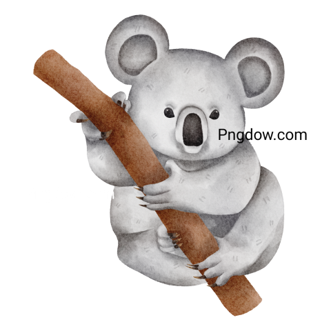 Get a Free Transparent Background Koala PNG Image for Your Designs, (3)