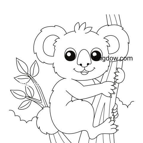 Get Free Transparent Background Koala PNG Images for Your Designs, (9)