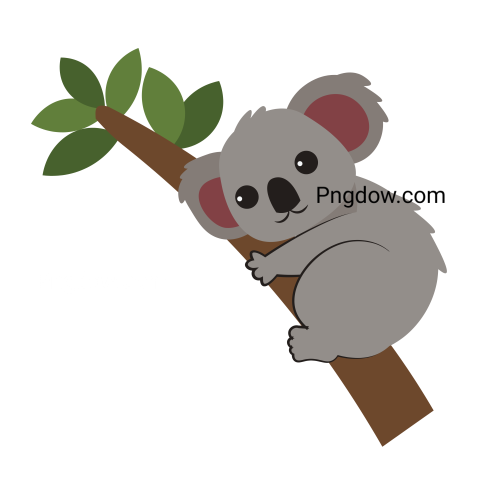 Get a Free Transparent Background Koala PNG Image for Your Designs, (22)