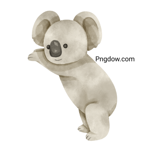 Get a Free Transparent Background Koala PNG Image for Your Designs, (21)