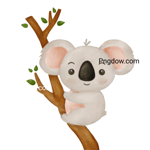 Get a Free Transparent Background Koala PNG Image for Your Designs, (8)