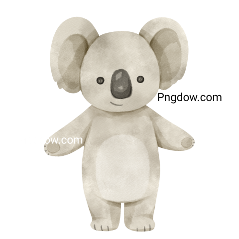 Download Free Transparent Koala PNG Image with a Background Removal, (54)