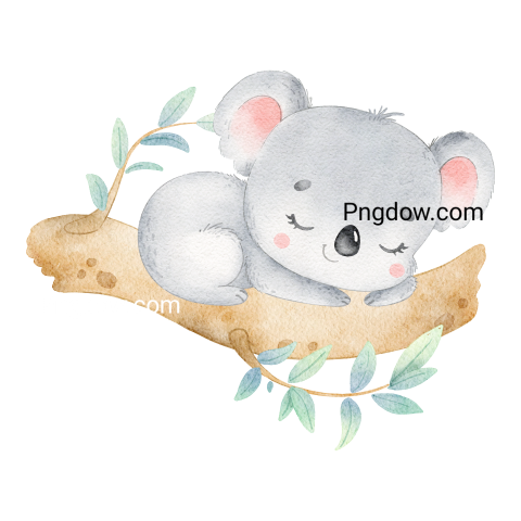 Get Free Transparent Background Koala PNG Images for Your Designs, (25)