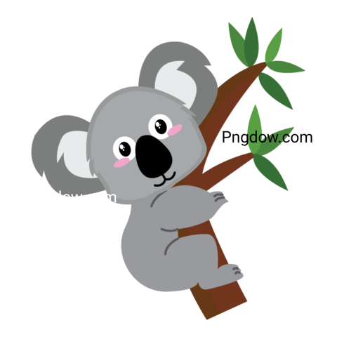 Download Free Transparent Koala PNG Image with a Background Removal, (71)