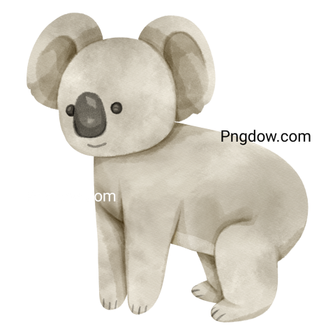 Get a Free Transparent Background Koala PNG Image for Your Designs, (25)