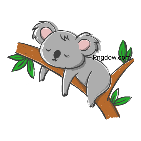 Download Free Transparent Koala PNG Image with a Background Removal, (83)
