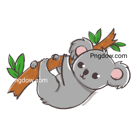 Download Free Transparent Koala PNG Image with a Background Removal, (82)