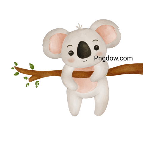 Download Free Transparent Koala PNG Image with a Background Removal, (78)