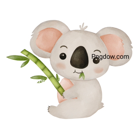 Download Free Transparent Koala PNG Image with a Background Removal, (76)