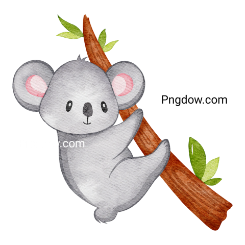 Download Free Transparent Koala PNG Image with a Background Removal, (77)