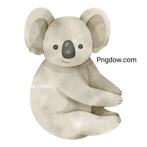 Download Free Transparent Koala PNG Image with a Background Removal, (74)