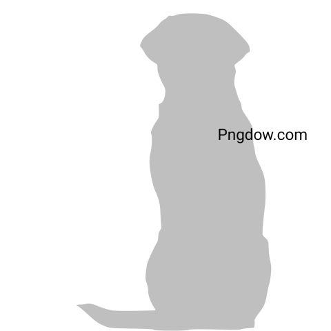 Labrador Retriever Dog Silhouette, transparent Background