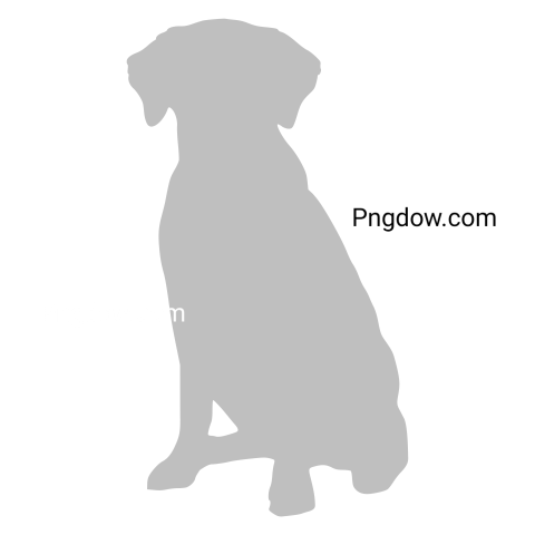 Labrador Retriever, transparent Background, free vector, (2)