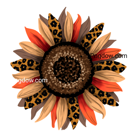 Sunflower leopard art design, transparent Background for free