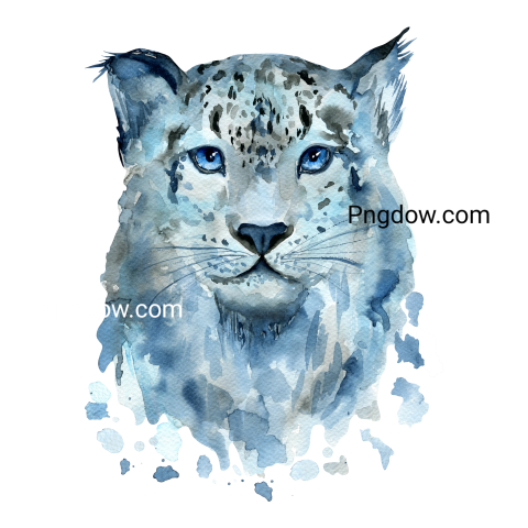 Blue watercolor snow leopard   animals illustration